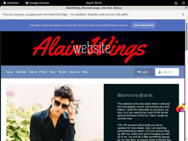 AlainWings Full Site