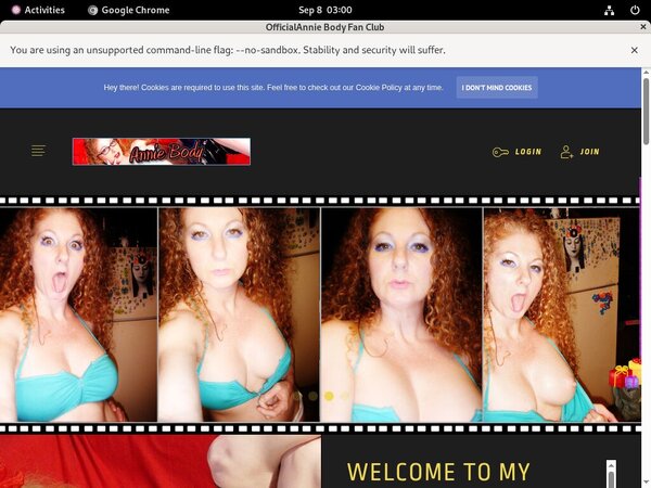 AnnieBody Passwords Blog