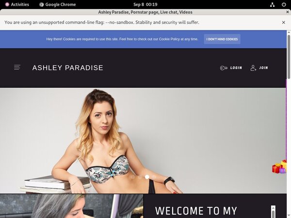 Ashleyparadise.modelcentro.com Login Information