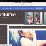 Baddbirdie.modelcentro.com With IDeal