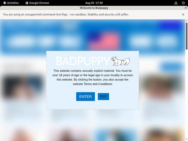 Badpuppy Network Login