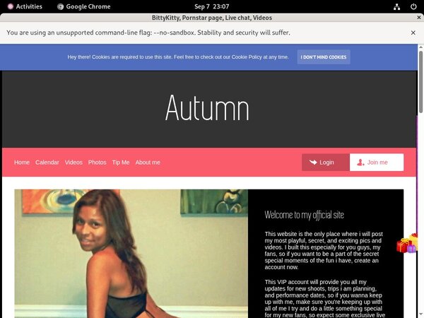 BittyKitty Password And Login