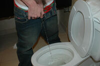 Boys-pissing.com gay porn Boys-pissing.com gay porn