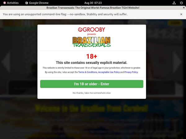 Braziliantranssexuals New