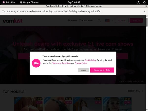 Cam Lust Premium Accounts