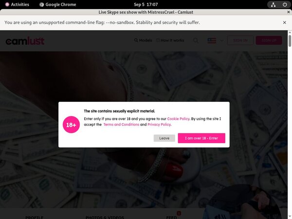 Camlust.com Paysite Review