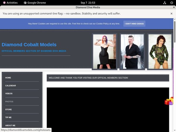 DiamondDivaMedia Sign DiamondDivaMedia Sign