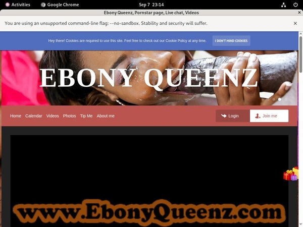 EbonyQueenz Passwords 2017