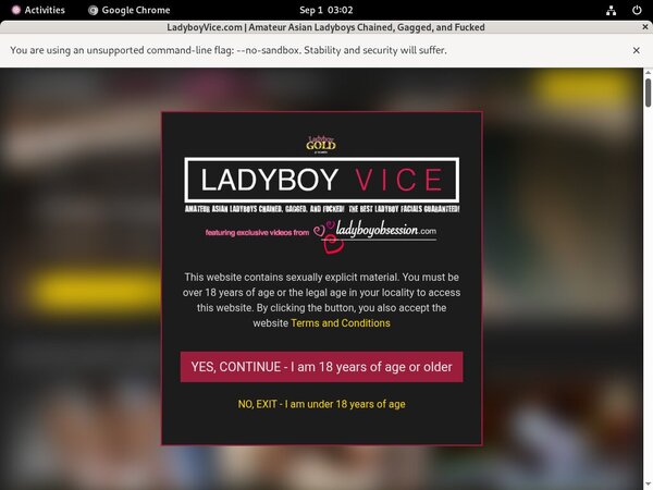 Fre Ladyboyvice.com Login And Password