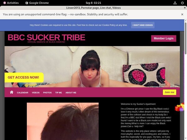 Free Linxer2013.modelcentro.com