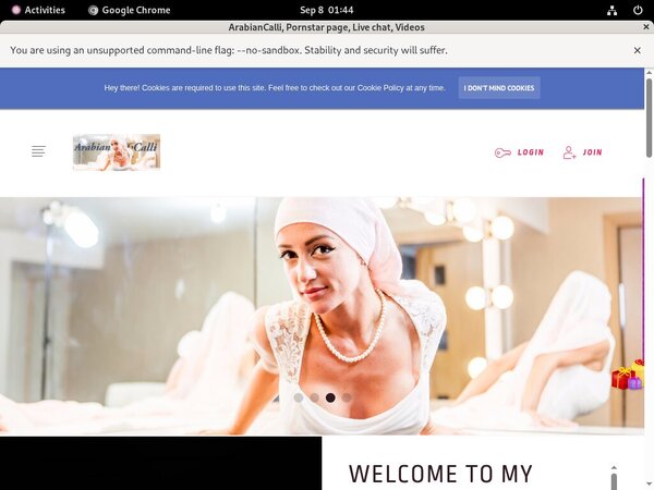 Free Login ArabianCalli