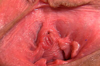 Gape My Pussy Hd New s2 Gape My Pussy Hd New s2