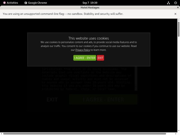 Hotelhostages Gay Videos