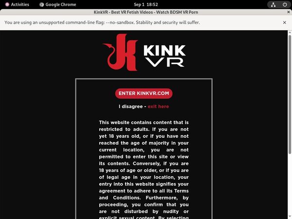 Kink VR Full Site