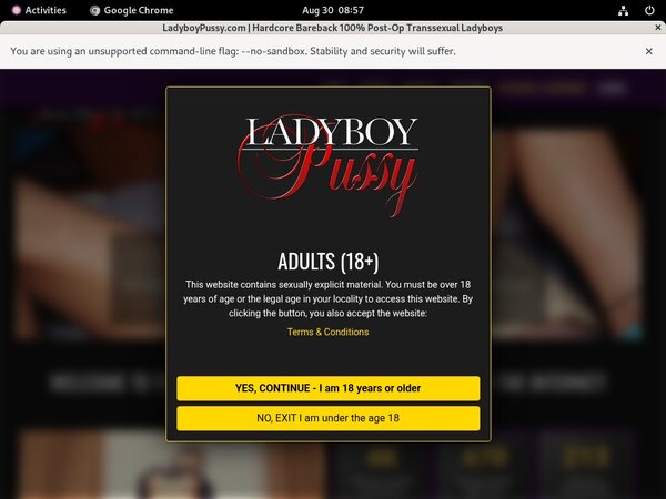 Ladyboypussy.com Discount Memberships