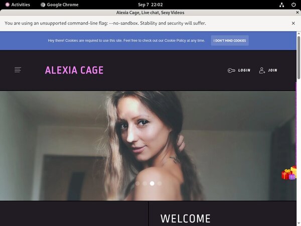 Login Alexiacage.modelcentro.com For Free