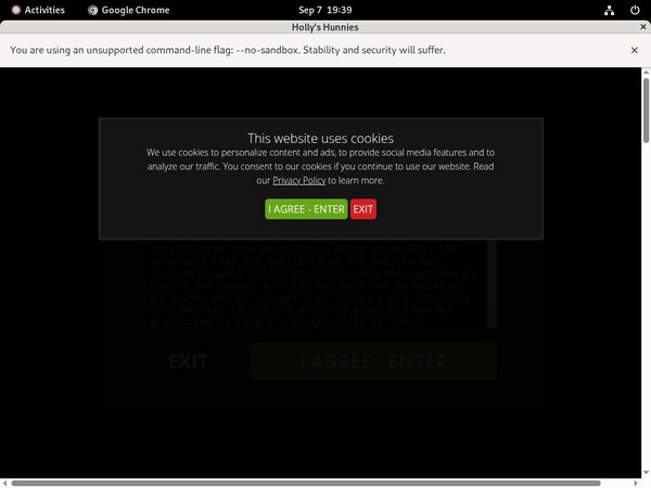 Login To Hollyshunnies For Free