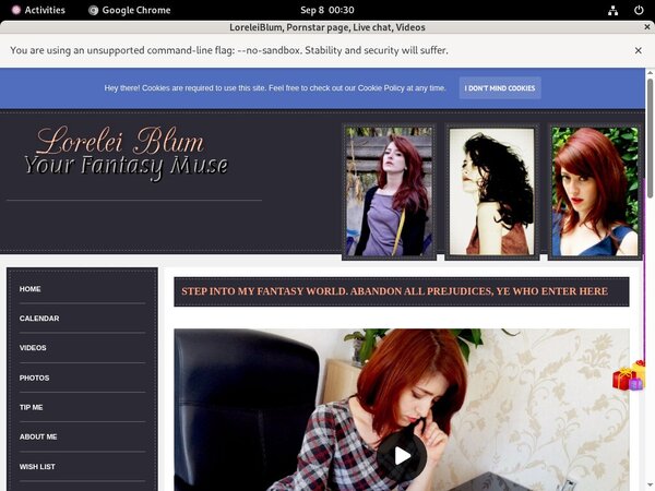 Loreleiblum.modelcentro.com Working Passwords