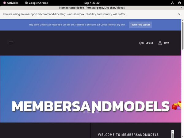 MembersandModels Passwords 2017