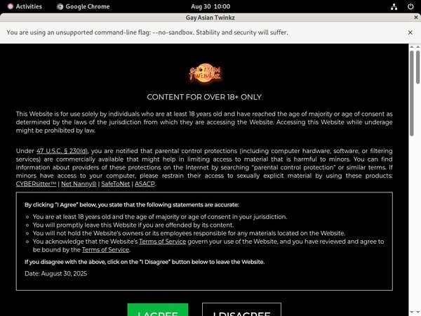 Pornhub Gay Asian Twinkz