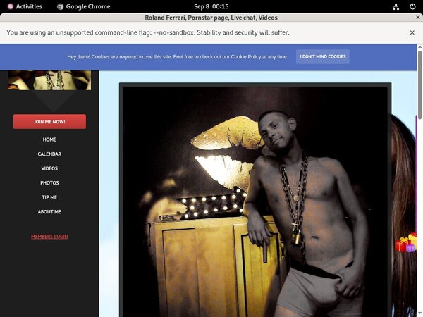 Rolandferrari.modelcentro.com Password Dump