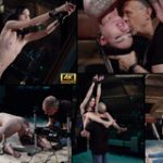 Subspace Land Free Scene