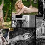 Subspace Land Member Review Subspace Land Member Review