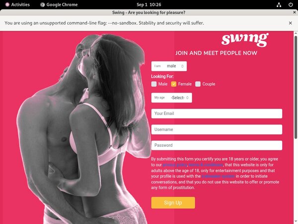 Swing.net Free Accounts