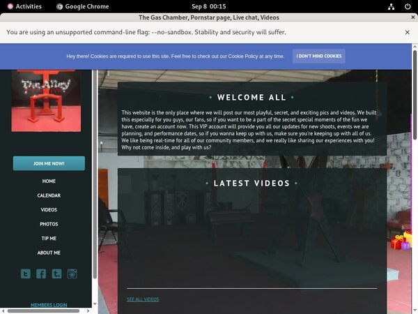 Thealleywynwood.modelcentro.com Valid Password