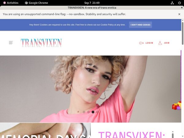 TransVixen Price