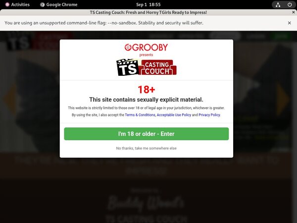 Ts-castingcouch.com Trial Membership