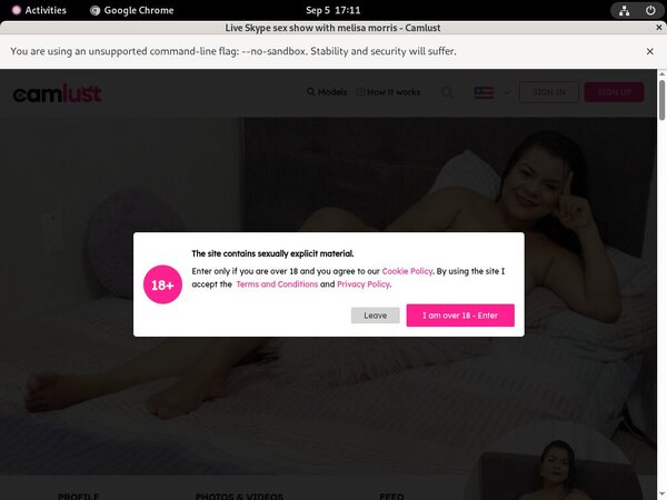 Working Camlust.com Password