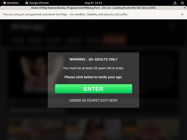 Xxcel Discount Passes