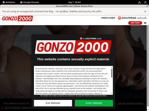 How To Access Gonzo2000.com How To Access Gonzo2000.com