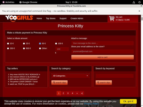 PrincessKitty With Bank Account PrincessKitty With Bank Account
