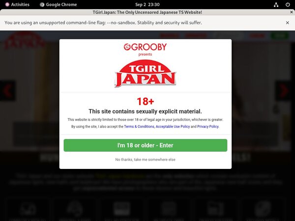 Access To TGirl Japan