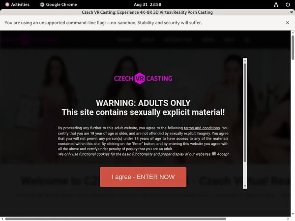 Czechvrcasting.com Hacked Account Czechvrcasting.com Hacked Account
