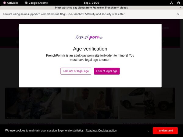 Frenchporn Pay